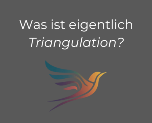 Was ist eigentlich Triangulation?